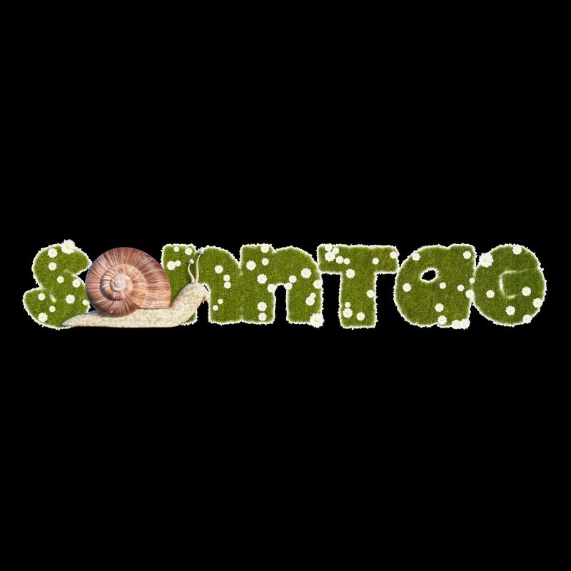 Escargot du dimanche