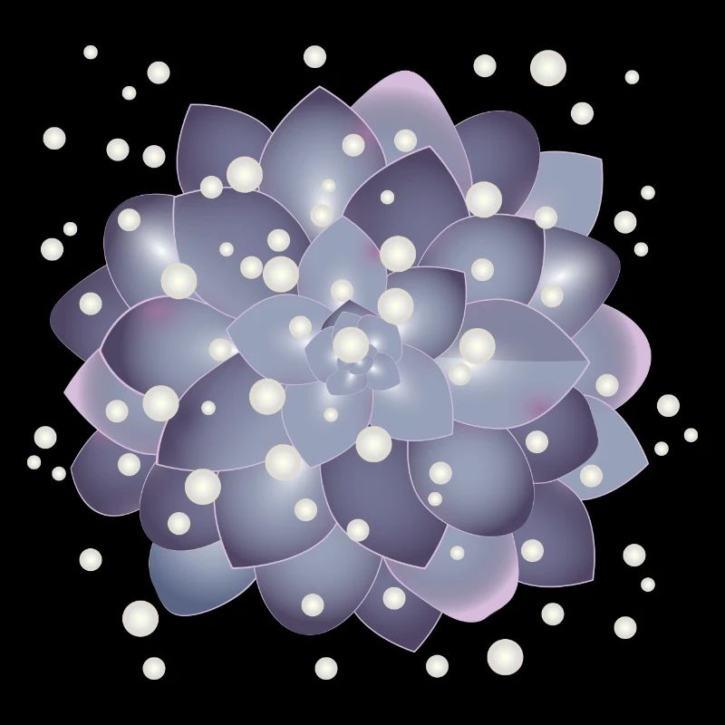 belle fleur succulente avec des perles