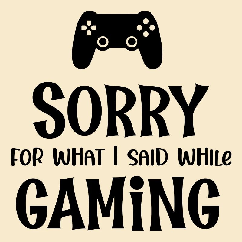 Sorry For What I Said While Gaming