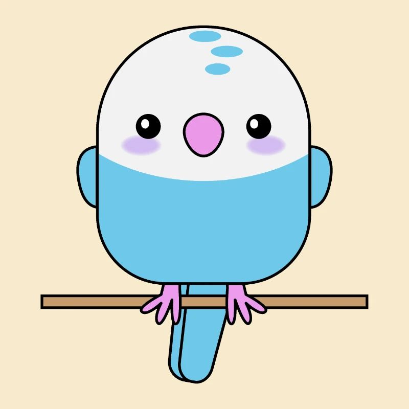 Perruche mignonne, perroquet, oiseau