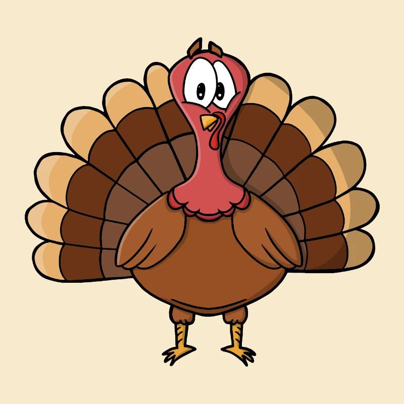 Dinde à queue large