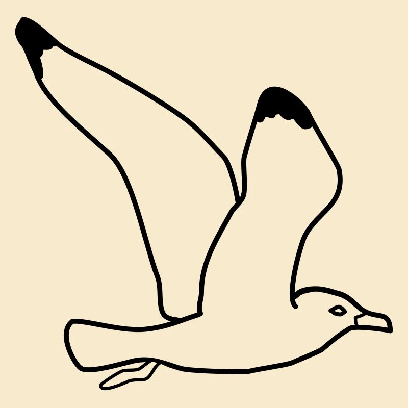 mouette