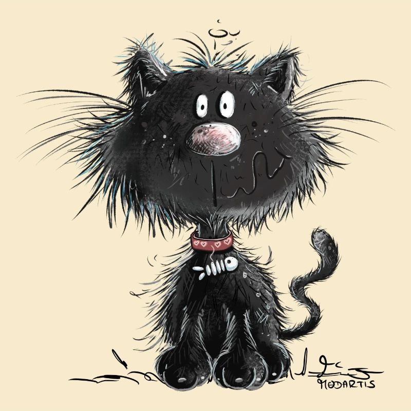 Droll Black Cat