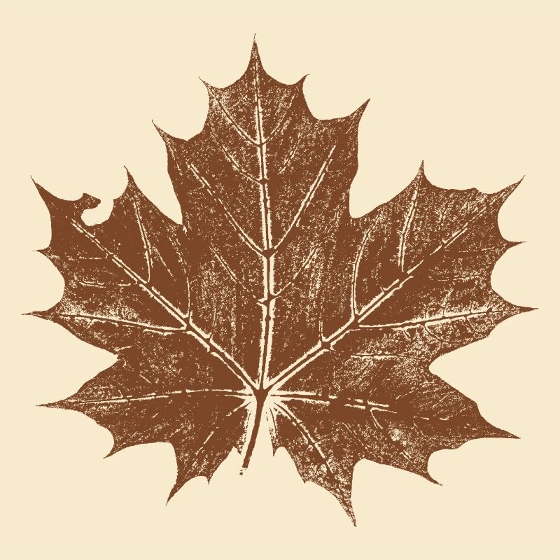 feuille d'érable