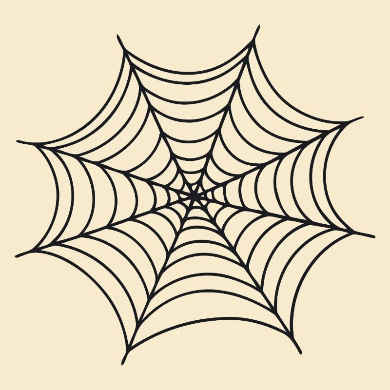 Black Minimalist Spider Web