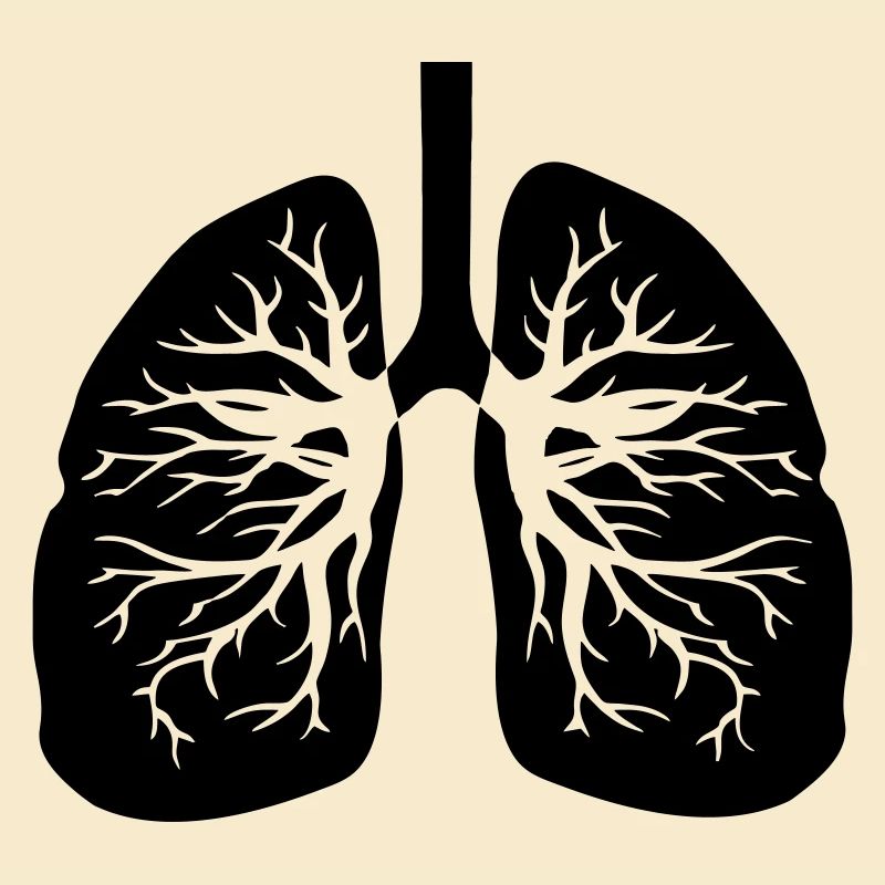 Respiratory therapist lungs