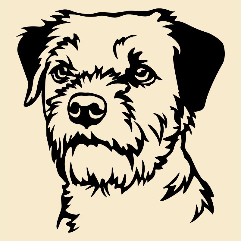 Border Terrier Head