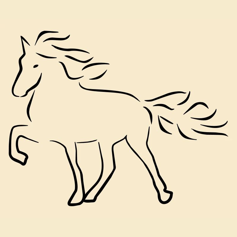 Islandpferd