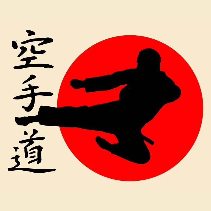 Karate Yokotobigeri