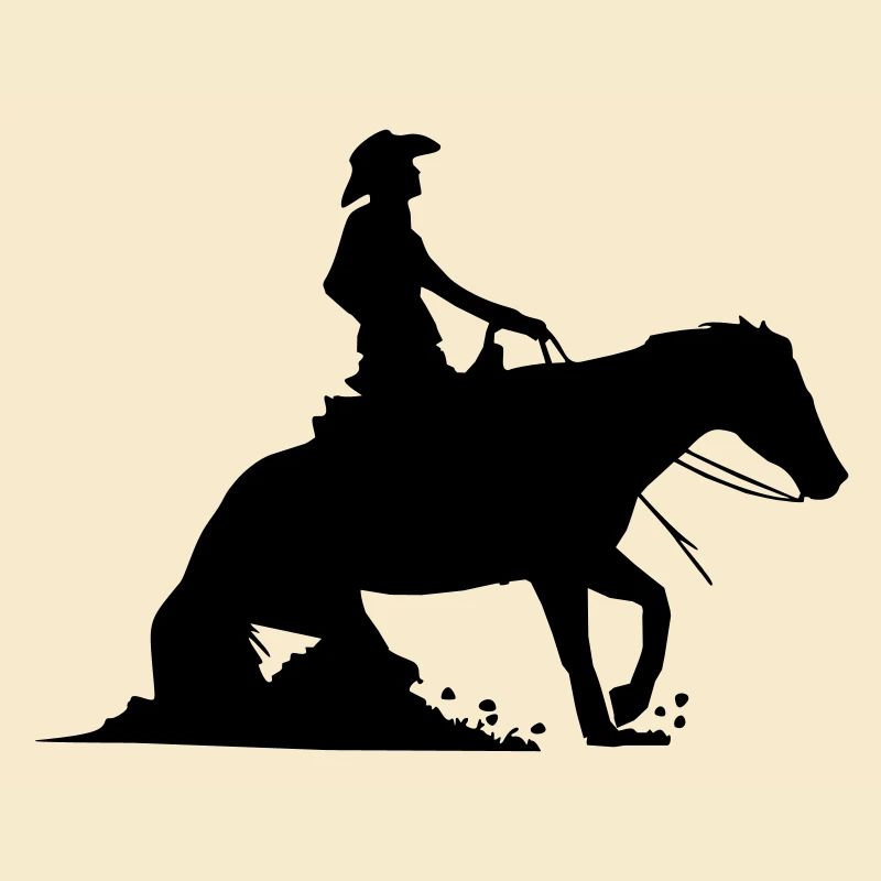 Equestrian Western Riding - Reining