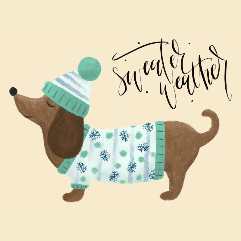 Dackel mit Pullover und Mütze - Sweater Weather