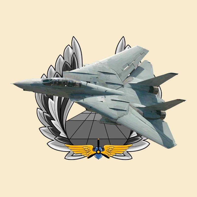 F-14 Tomcat