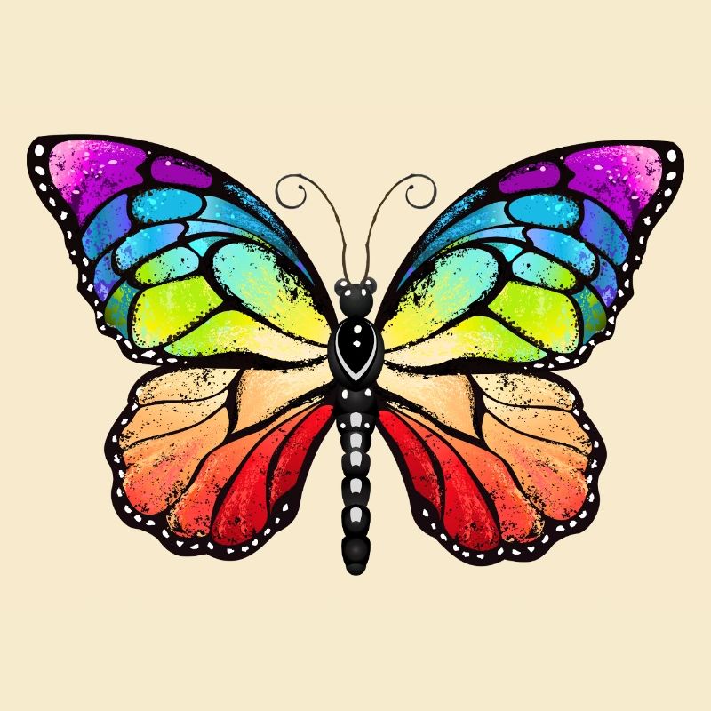 Rainbow pride butterfly