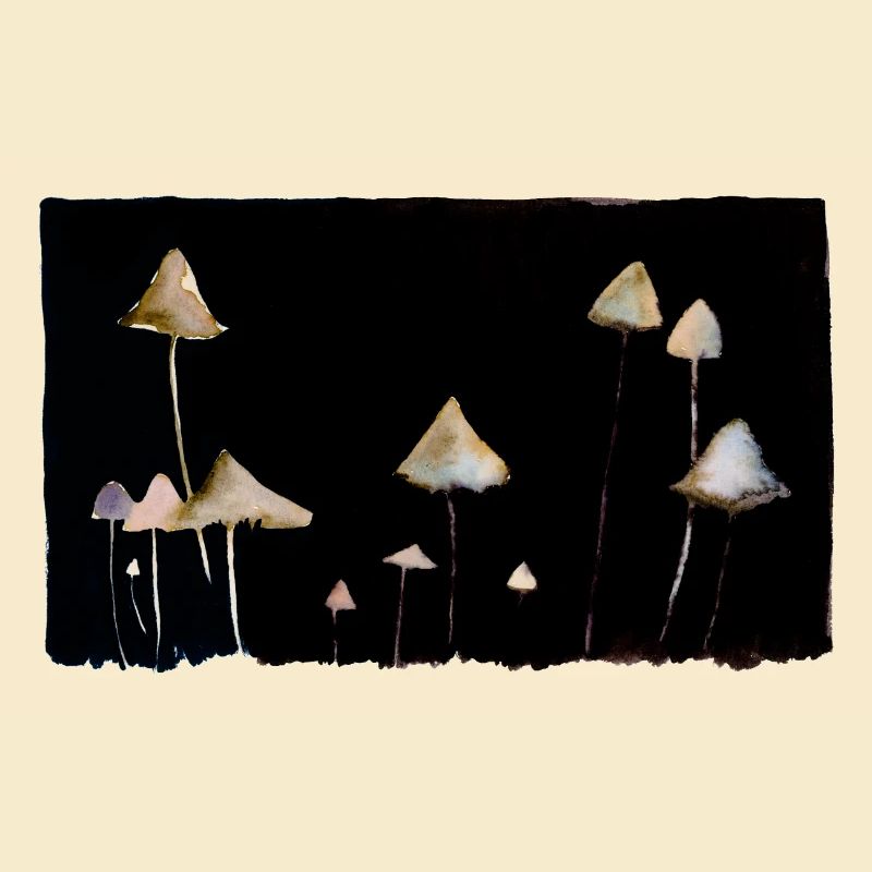Champignons