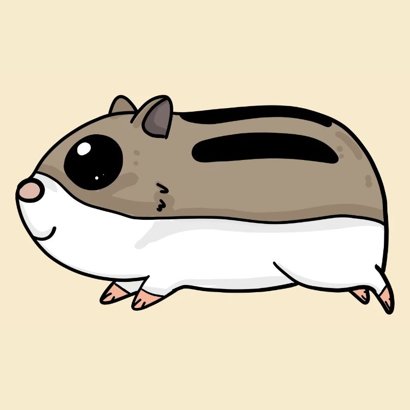 Rongeurs hamsters