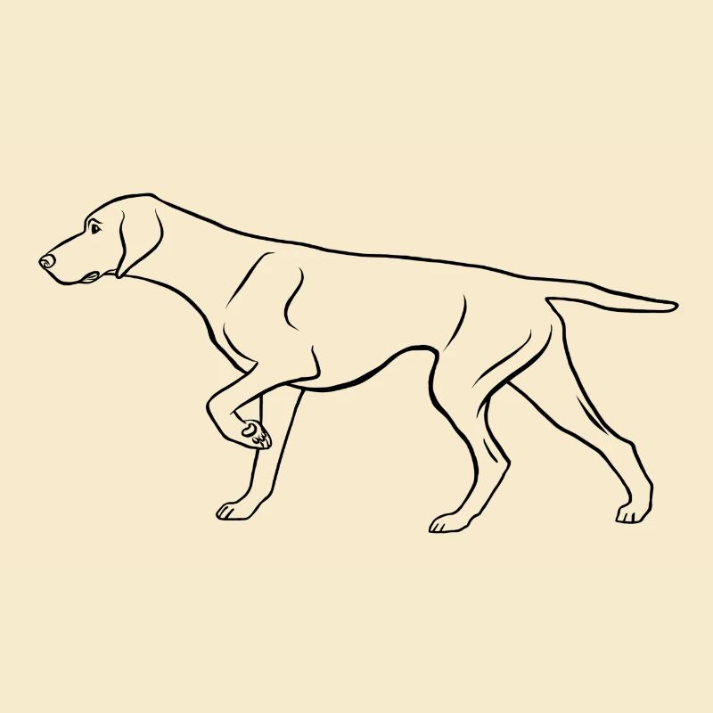 Dt. Shorthaired Pointer, prominent