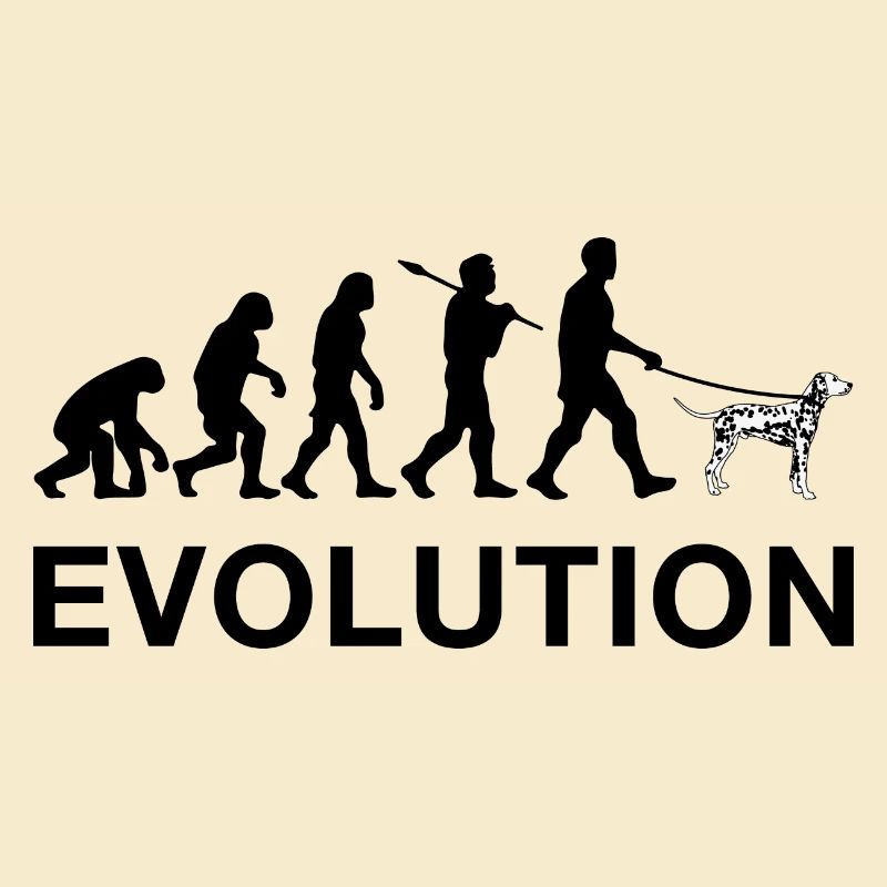 évolution