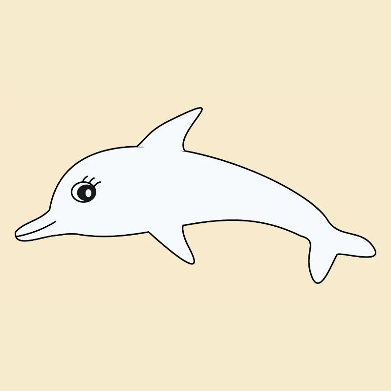 Dolphin Dolphins