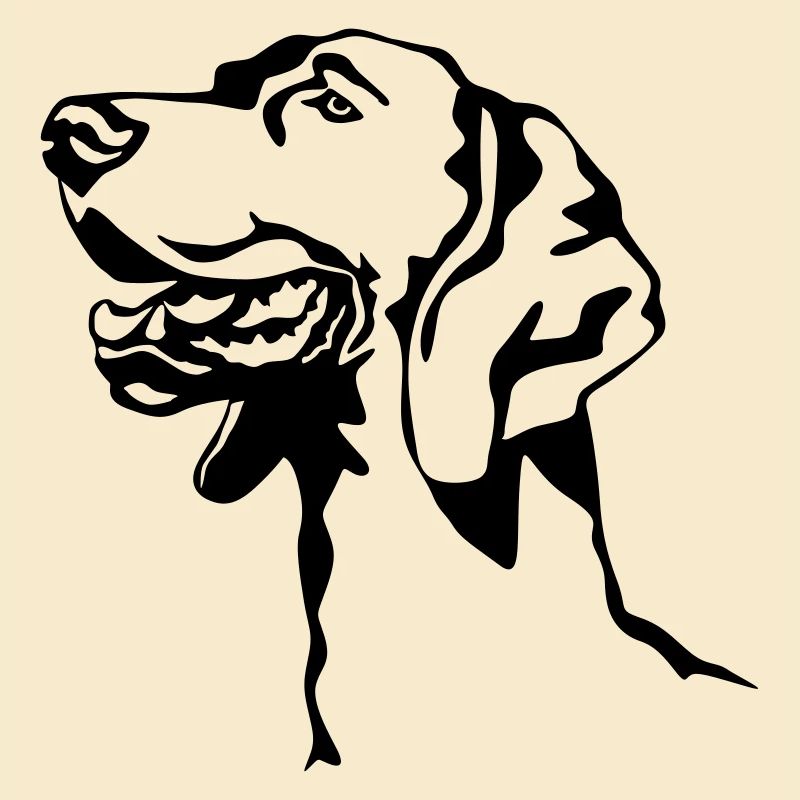 Tête de braque de Weimar