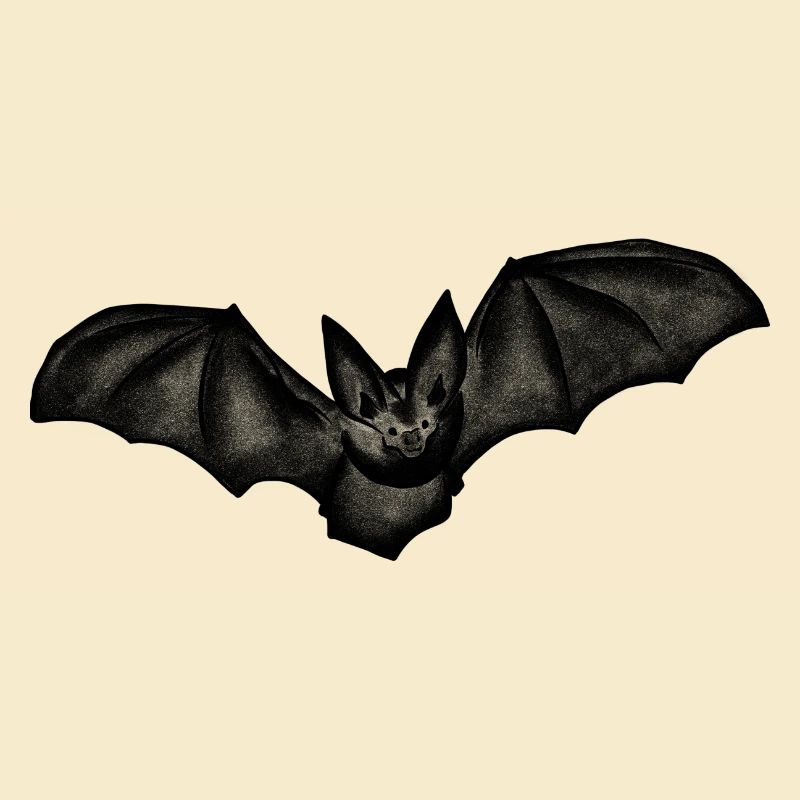 Fledermaus