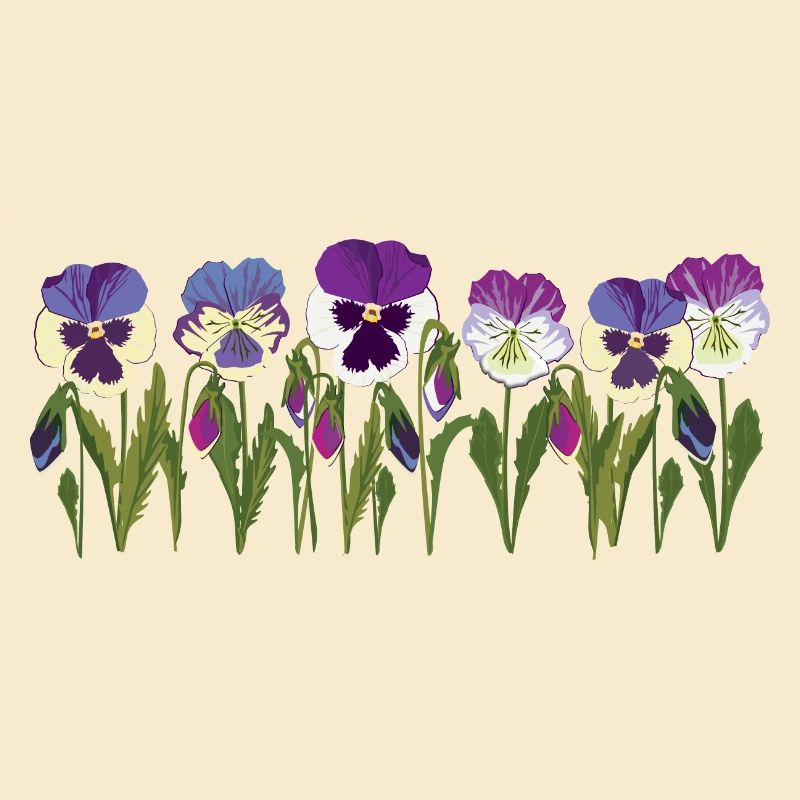 Rangée de fleurs de pensée en violet