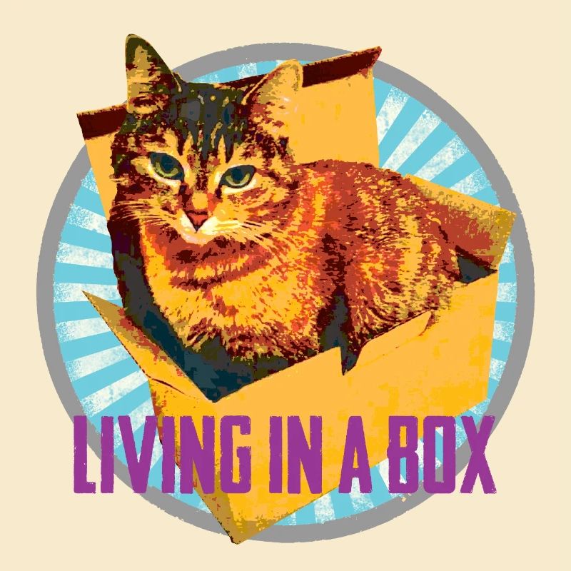 Cat lovers - In a box :-)