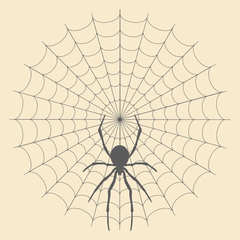 Spider Web Silhouette