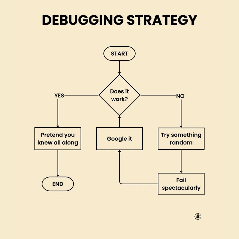 Debugging Strategy Flowchart - Does It Work Gift