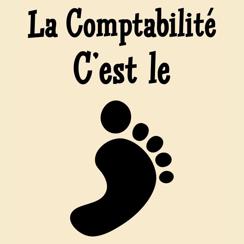 comptable / comptabilité / argent / Finance / Euro