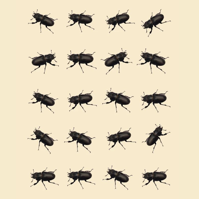 Stag Pattern