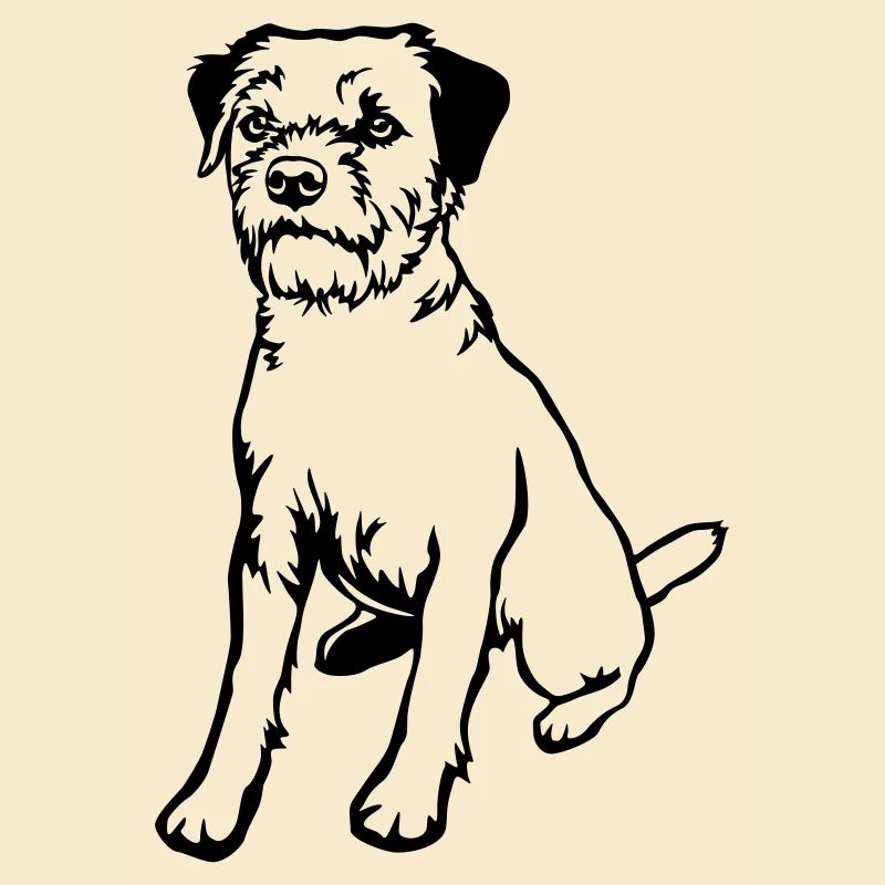 Border Terrier