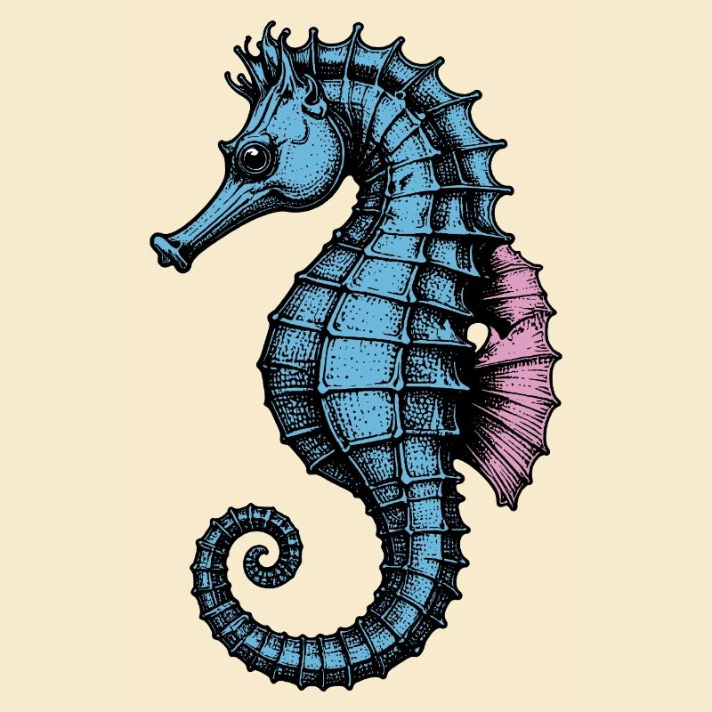 Hippocampe