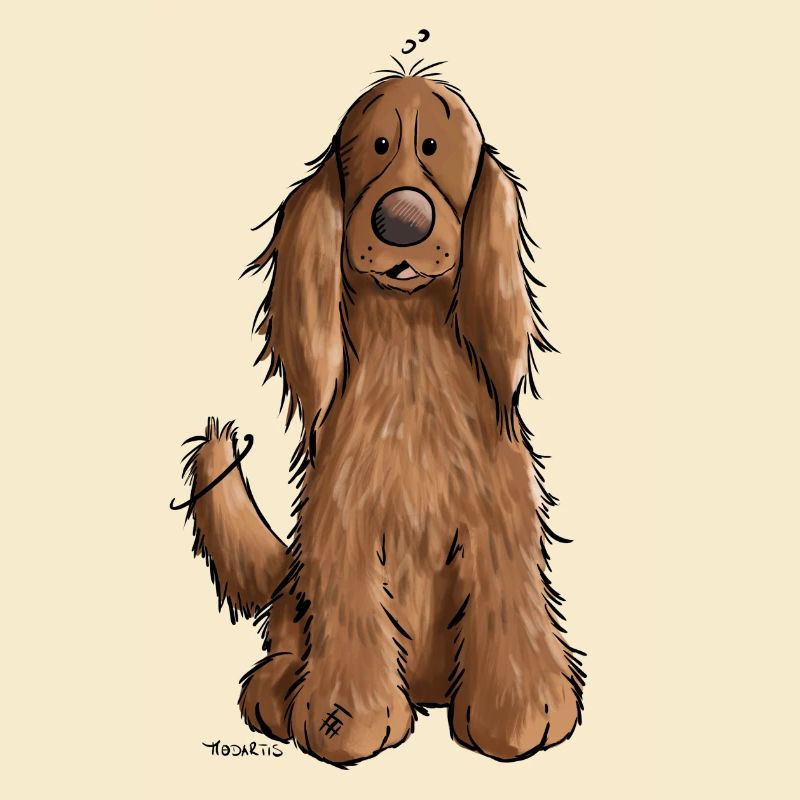 Cocker spaniel anglais