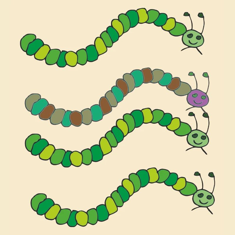 variété de chenille
