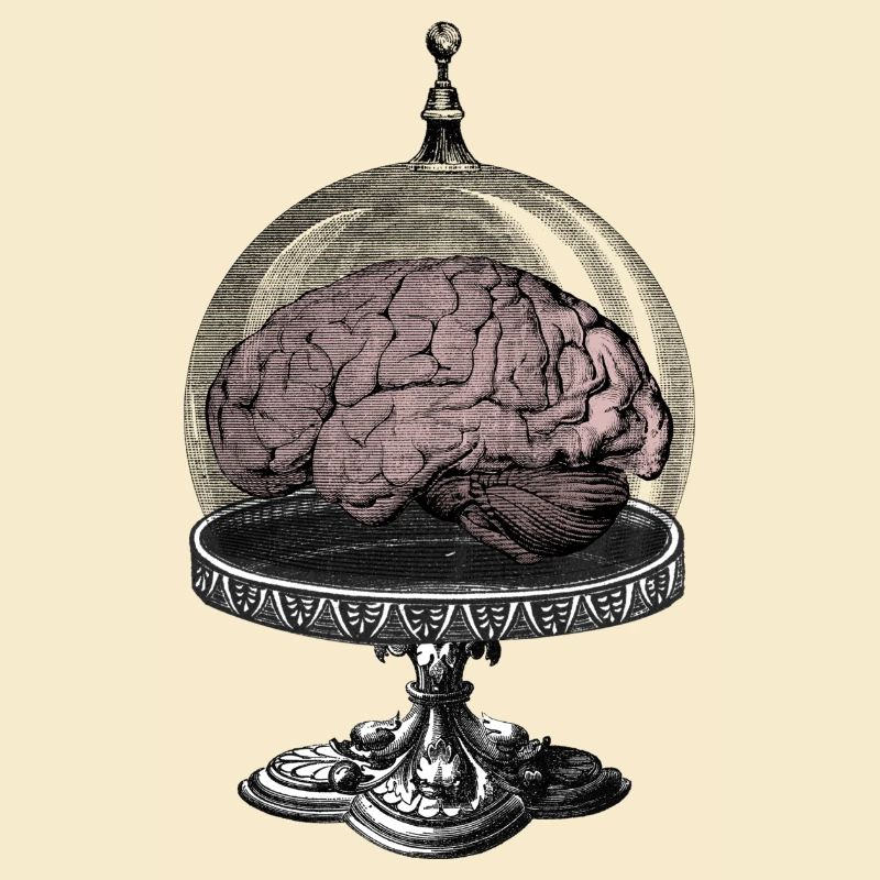Monster Brain Horror SciFi Design