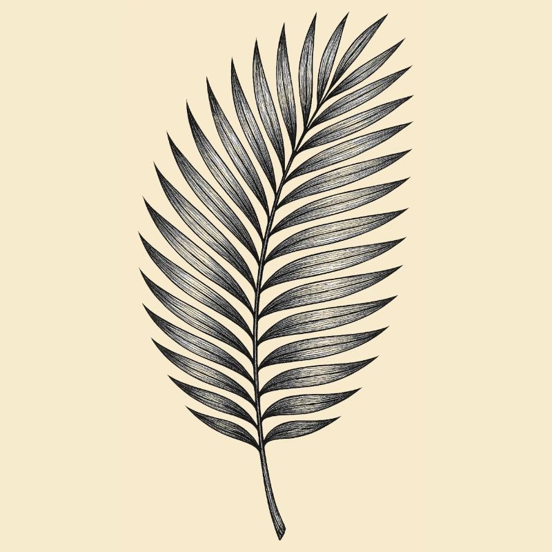 Black palm leaf pattern
