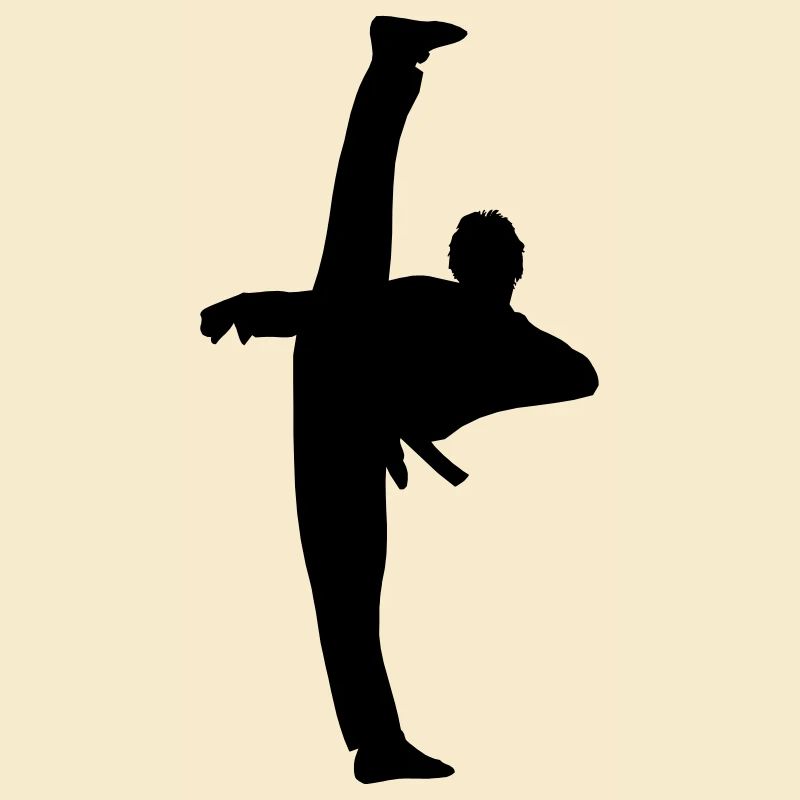 High Kick von Taekwondo oder Karate Schattenfigur
