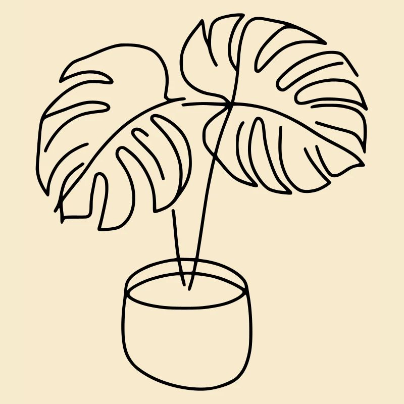 Monstera