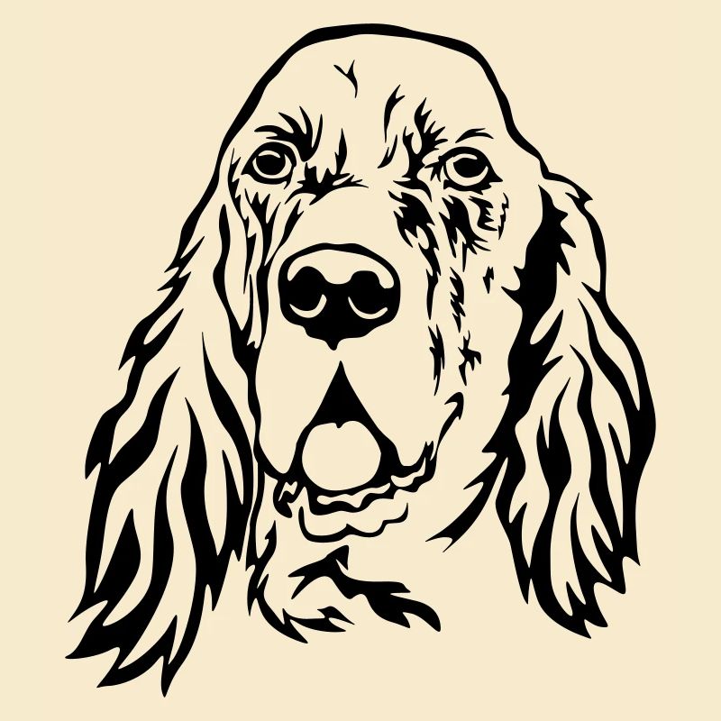 Englischer Setter Kopf