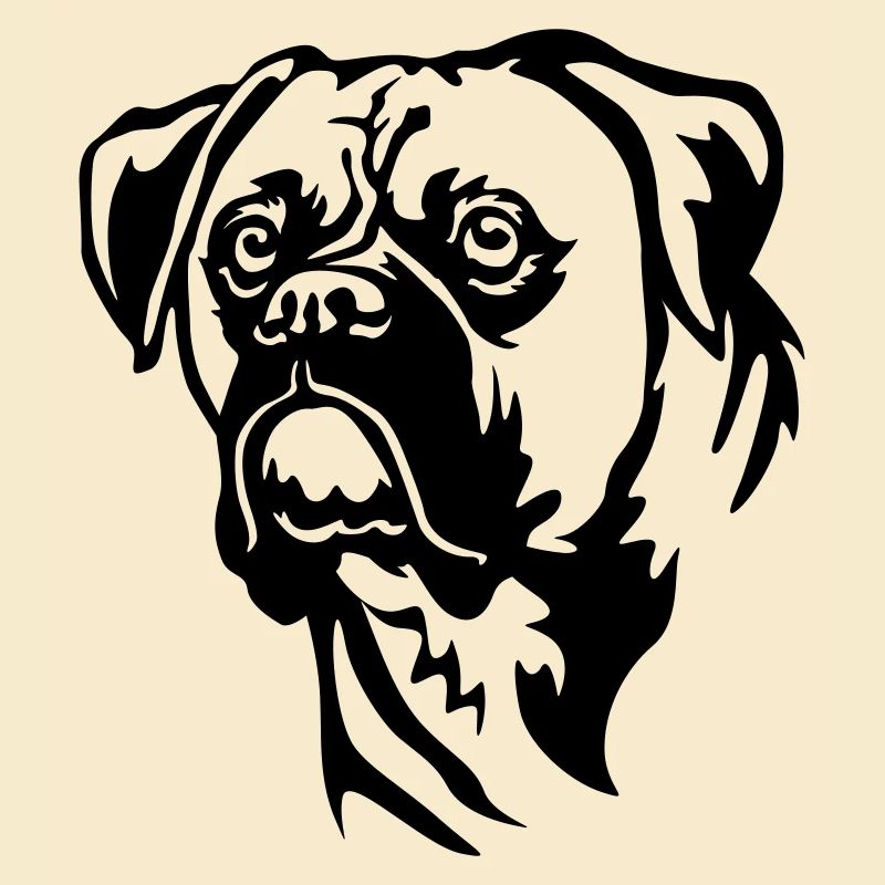 Boxer Head