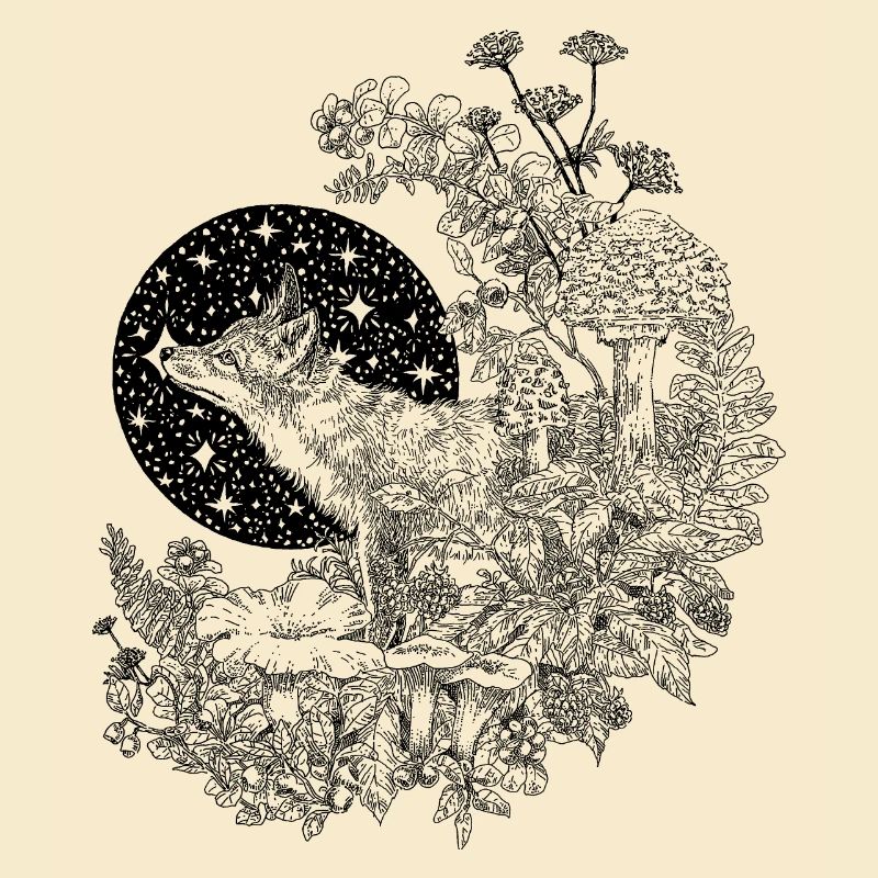 FUCHS & NACHTHIMMEL