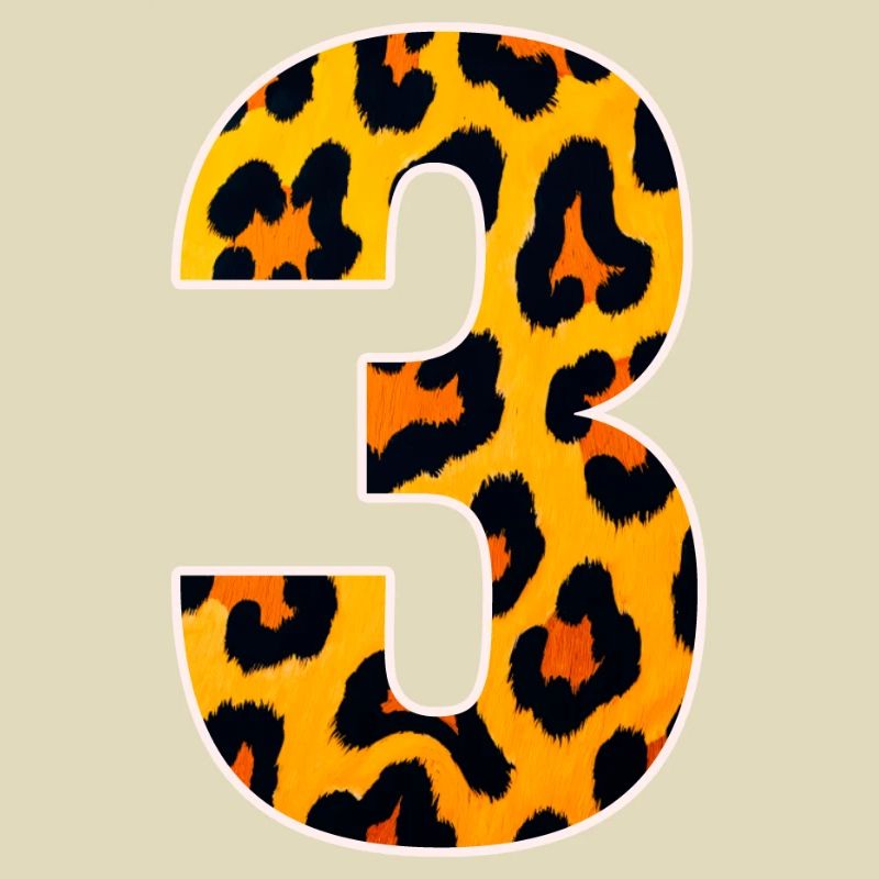 Leopard 3 Number Pattern