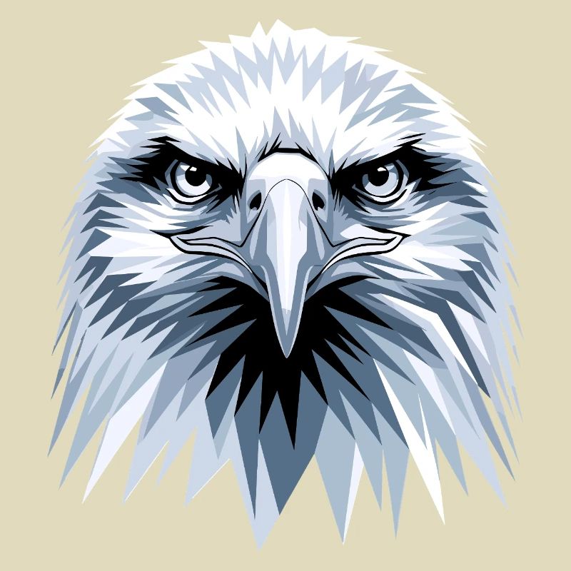 Eagle Bald Eagle Golden Eagle White-tailed Eagle