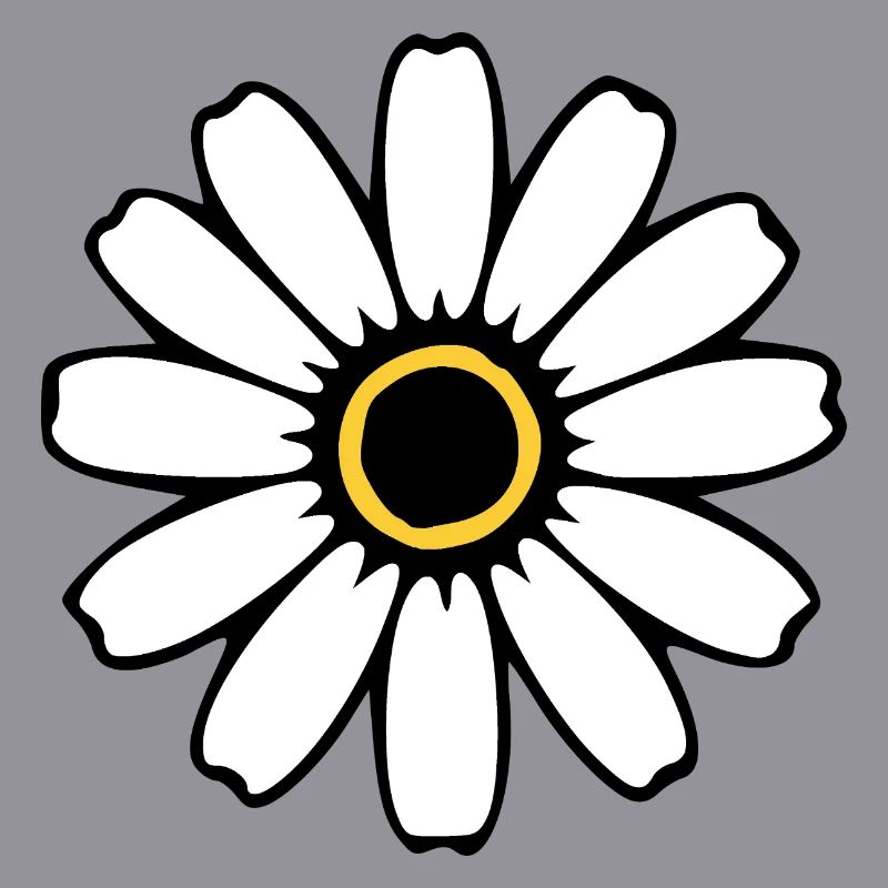 Fleurs blanches Fleurs blanches Fleurs blanches Fleurs sauvages Herbes