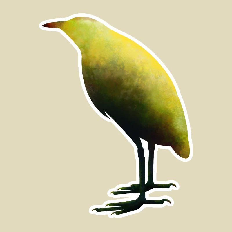 Bittern