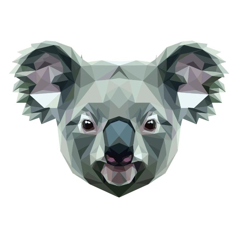 Koala Bear Australia Koala Bear Cute Koala Bears