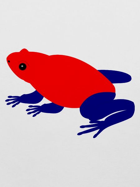 Erdbeer Pfeilgiftfrosch Tierkunst