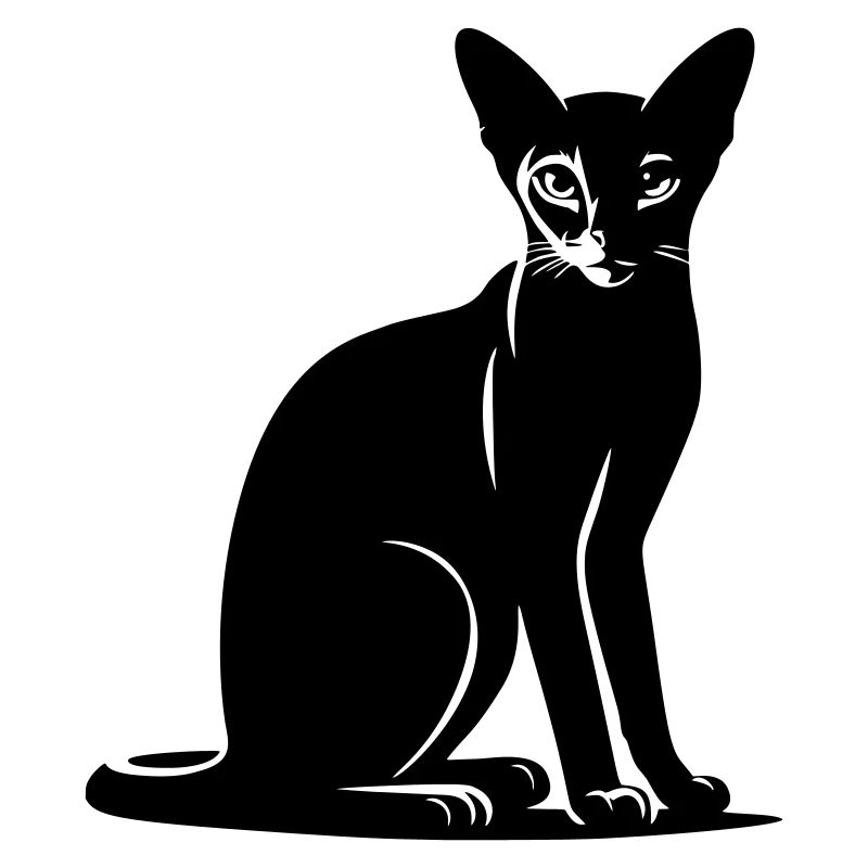 Abessiner Katze