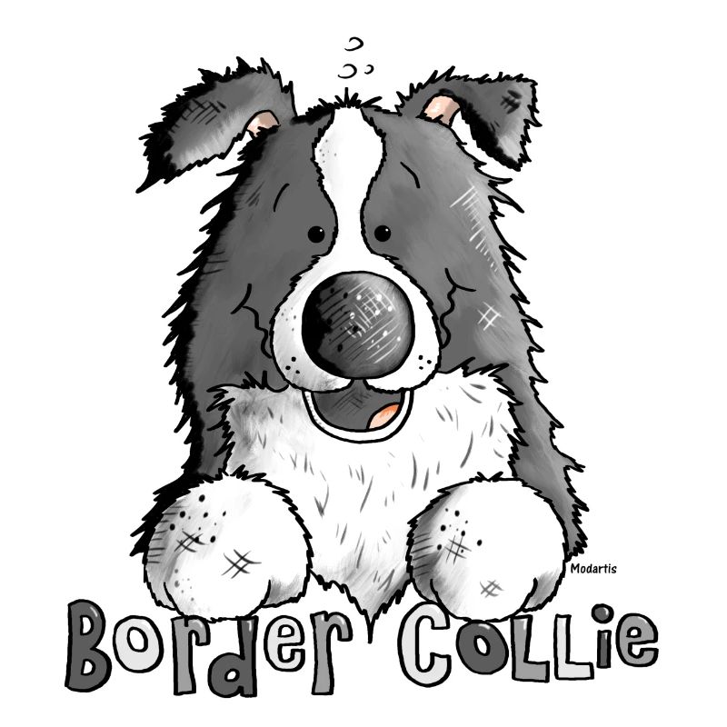 Petit Boder Collie - Chien de Berger