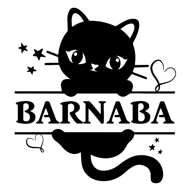 Barnaba T-Shirt Katze Geschenkidee Katze